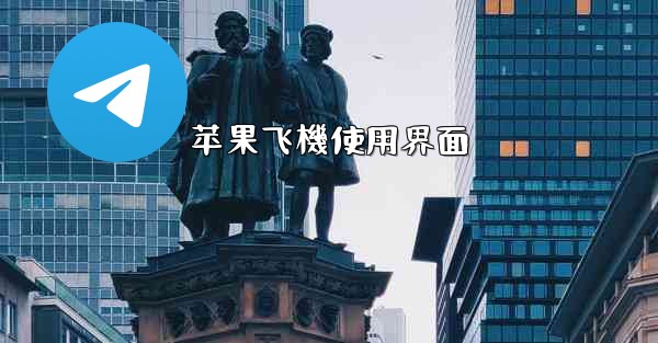 苹果飞機使用界面