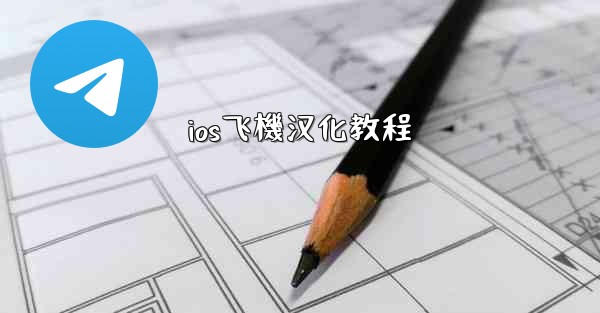 ios飞機汉化教程