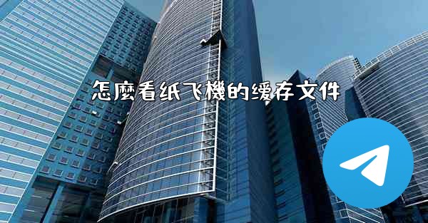 怎麼看纸飞機的缓存文件