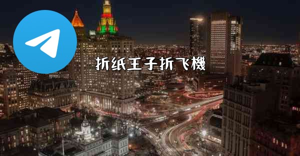 折纸王子折飞機