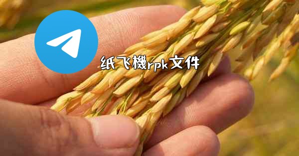 纸飞機rpk文件