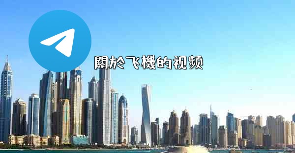 關於飞機的视频