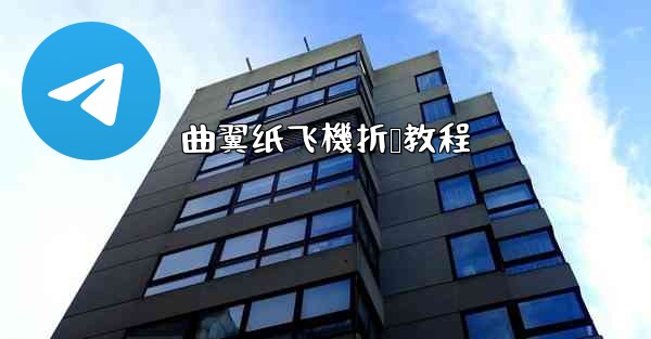 曲翼纸飞機折叠教程