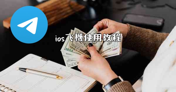 ios飞機使用教程