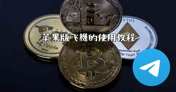 苹果版飞機的使用教程