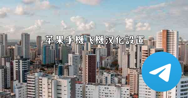 苹果手機飞機汉化設置