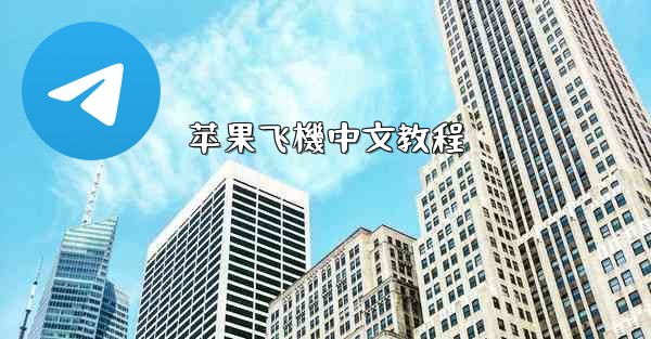 苹果飞機中文教程