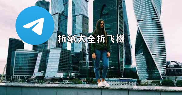 折纸大全折飞機