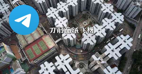 <b>刀削面纸飞機</b>