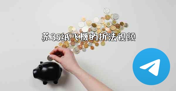 苏35纸飞機的折法视频