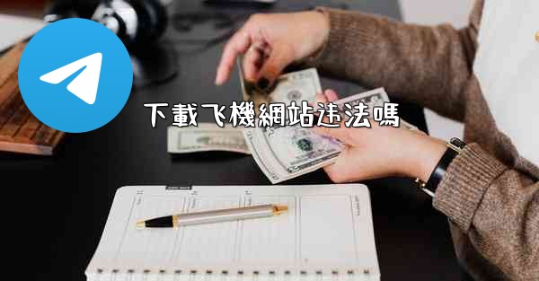 下載飞機網站违法嗎