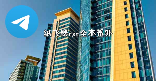 纸飞機txt全本番外