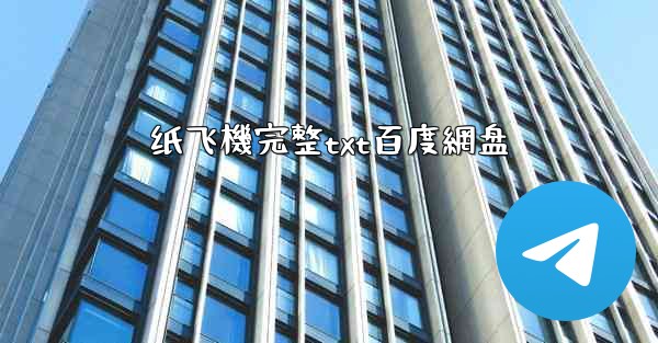 纸飞機完整txt百度網盘