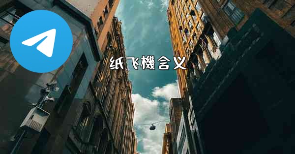 纸飞機含义