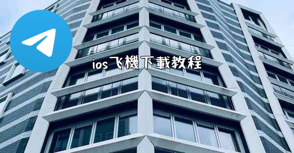 ios飞機下載教程