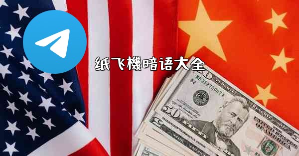 纸飞機暗语大全