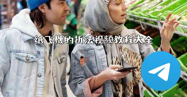 <b>纸飞機的折法视频教程大全</b>