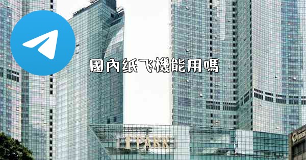 國內纸飞機能用嗎