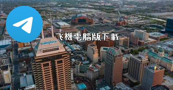 飞機電腦版下載