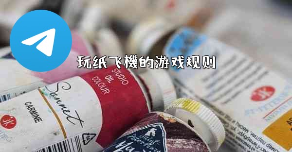 玩纸飞機的游戏规则