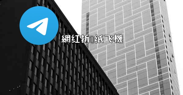 網红折叠纸飞機