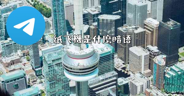 纸飞機是什麼暗语