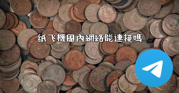 纸飞機國內網絡能連接嗎