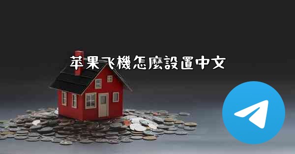 苹果飞機怎麼設置中文