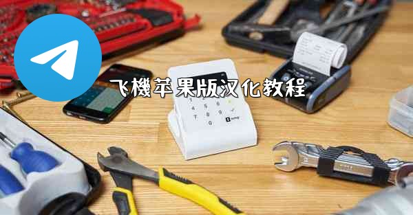 飞機苹果版汉化教程