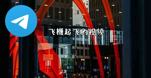 飞機起飞的视频