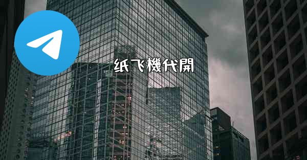 纸飞機代開