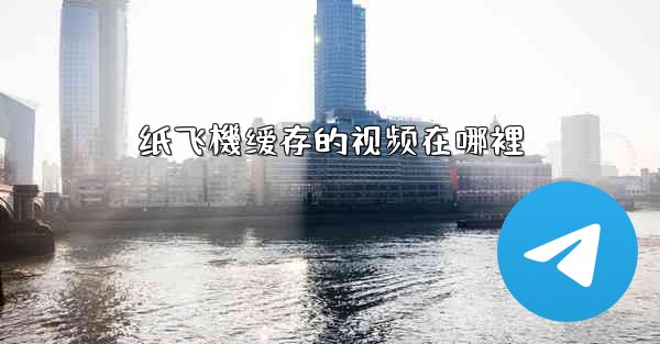 纸飞機缓存的视频在哪裡