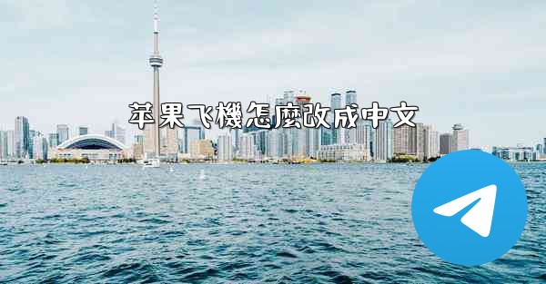 苹果飞機怎麼改成中文