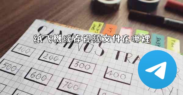 纸飞機缓存视频文件在哪裡