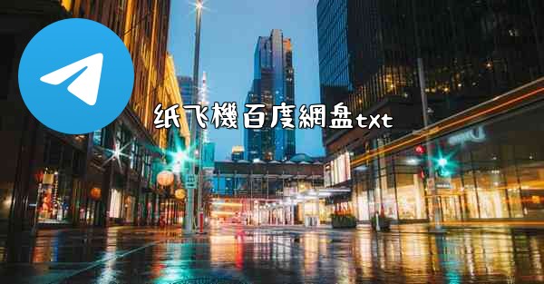 纸飞機百度網盘txt