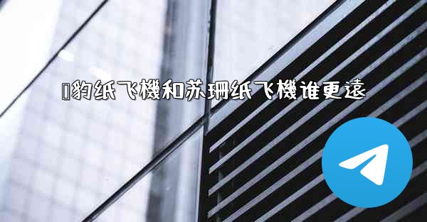 猎豹纸飞機和苏珊纸飞機谁更遠