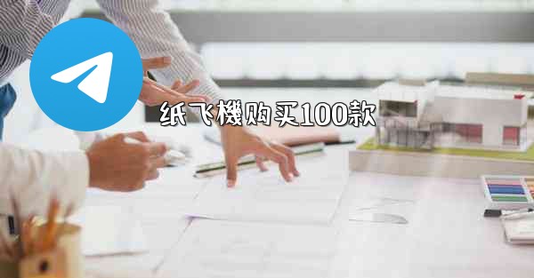 纸飞機购买100款