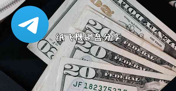 纸飞機網盘分享