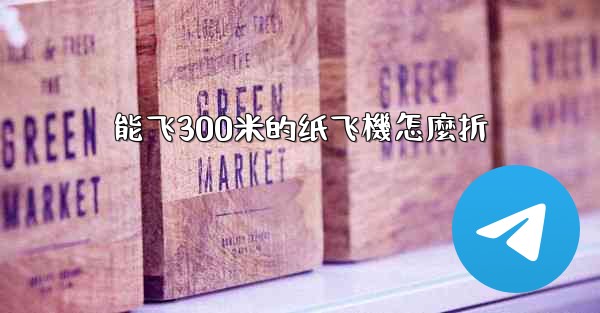 能飞300米的纸飞機怎麼折