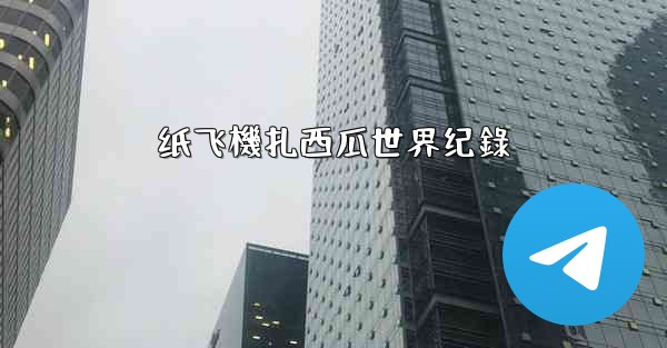 纸飞機扎西瓜世界纪錄