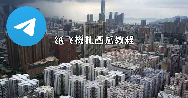 纸飞機扎西瓜教程