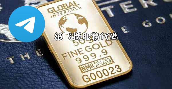 纸飞機服務代碼