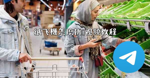 纸飞機怎麼折叠视频教程