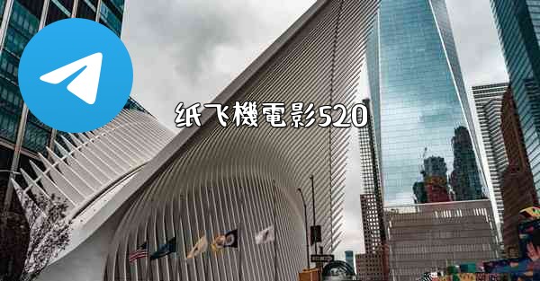 纸飞機電影520