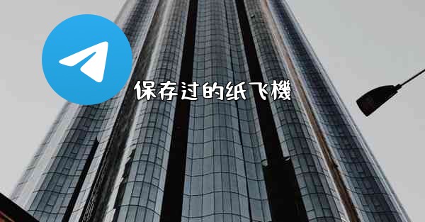 保存过的纸飞機