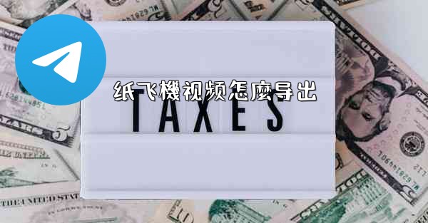 纸飞機视频怎麼导出