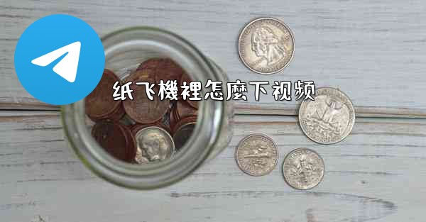 纸飞機裡怎麼下视频