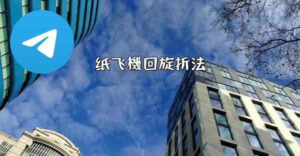 <b>纸飞機回旋折法</b>