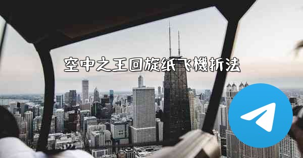 空中之王回旋纸飞機折法