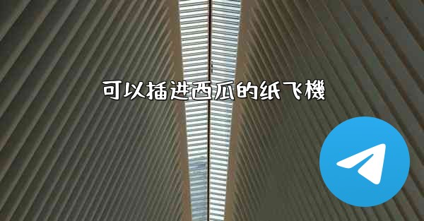 可以插进西瓜的纸飞機